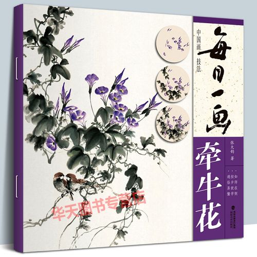 入门基础教程书写意水墨画牵牛花册页/工笔画花卉技法画法大全集教材