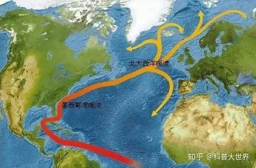 暖流,北太平洋暖流,墨西哥湾暖流,千岛寒流,秘鲁寒流,本格拉寒流等