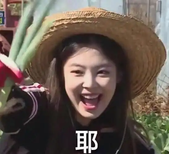 jennie:耶 - jennie表情包