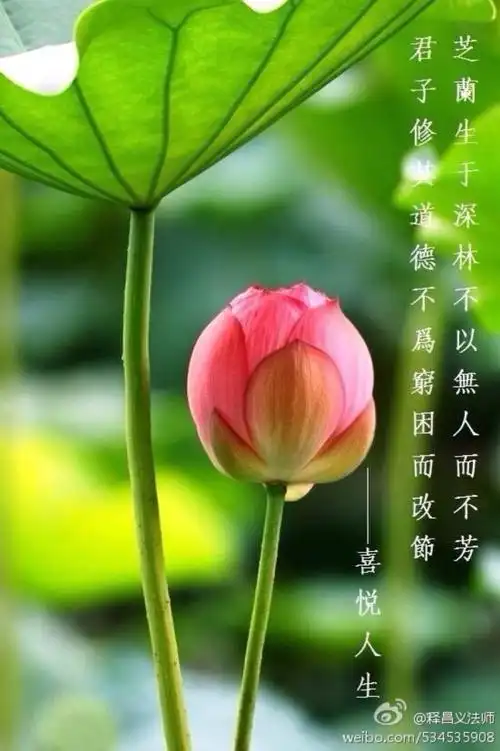 一方一净土,一笑一尘缘.一念一清净,心是莲花开.