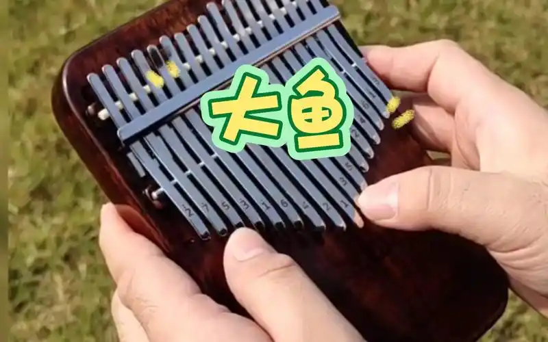 《大鱼》【拇指琴】-大鱼海棠