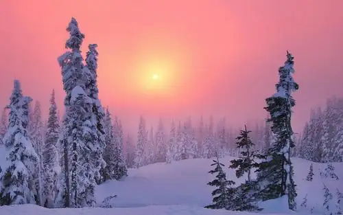 唯美冬季雪景,高清图片,电脑桌面-壁纸族