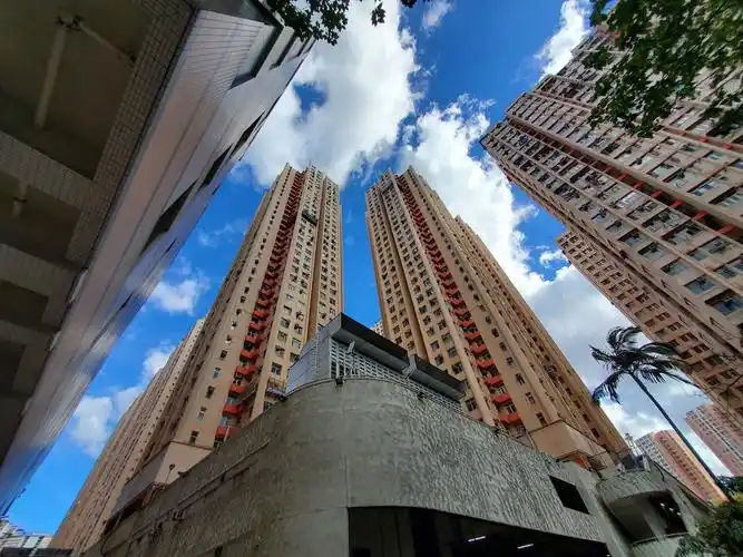 香港一居民楼集中感染新冠,专家称错失防控良机