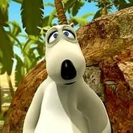 倒霉熊图片qq头像可爱