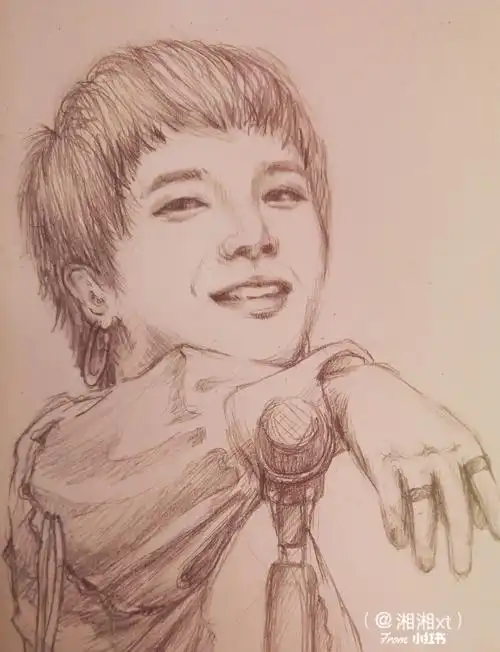 每周铅笔手绘打卡我的花花华晨宇