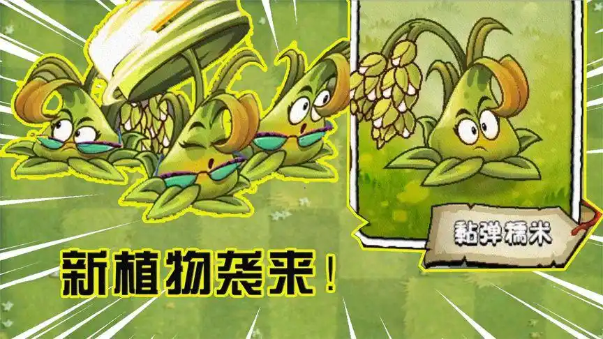 pvz2新植物黏弹糯米即将上线拓维这样好吗全是橙卡需要氪金