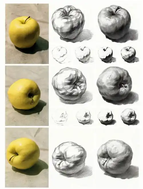 素描静物入门基础训练速收藏临摹