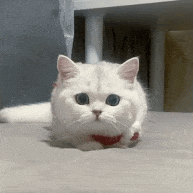 一周一期沙雕表情包,这期包你满意