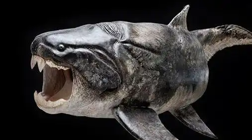 远古海洋霸主-邓氏鱼_网易订阅