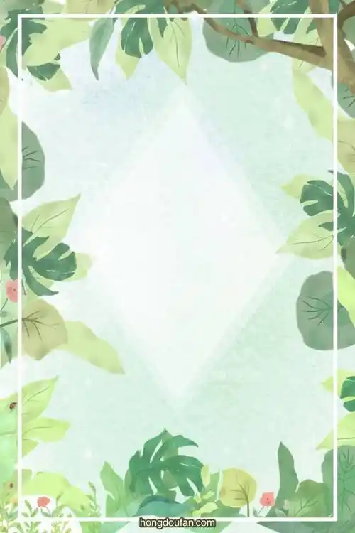 夏日好多叶子的浅色a4背景图片