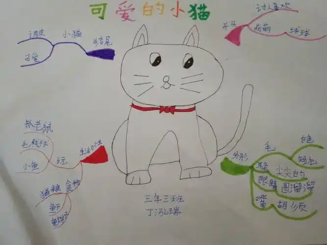 三年三班小朋友思维导图可爱的小动物