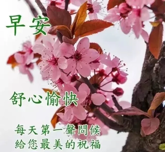 原创最新版早安问候语动态图片表情清晨早上好问候祝福动态表情图片