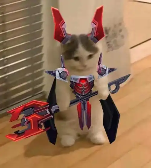 英雄联盟猫猫表情包集合(第一期) - 知乎