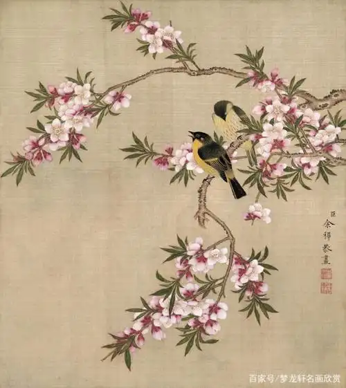 太美了!余稚《花鸟图册》工笔花鸟画高清大图欣赏