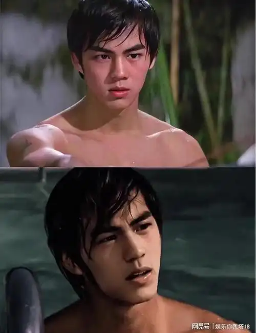 年轻时候的狄龙非常帅气