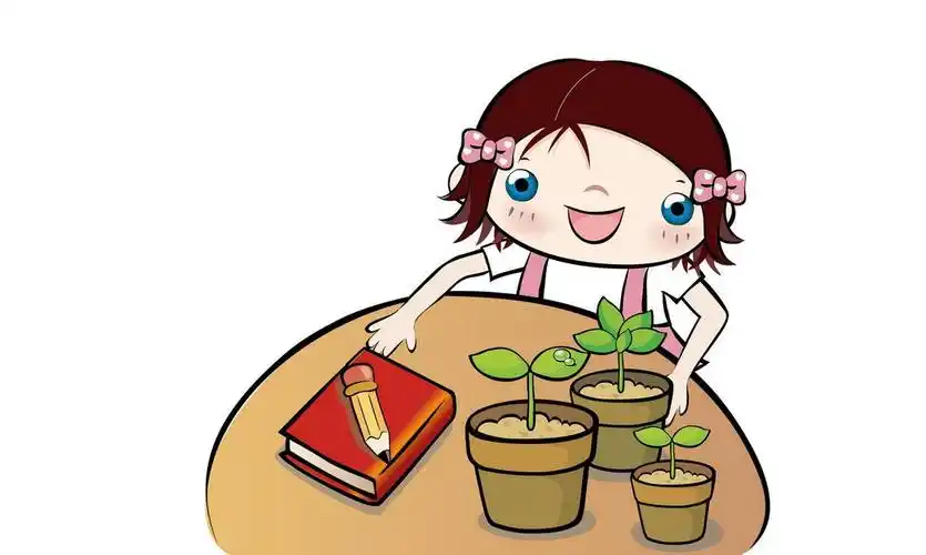 小学植物发芽观察日记