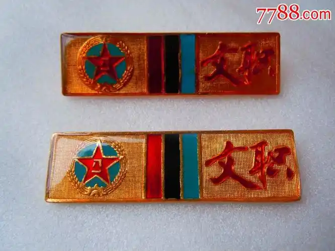 瑕疵品老式文职胸标2枚