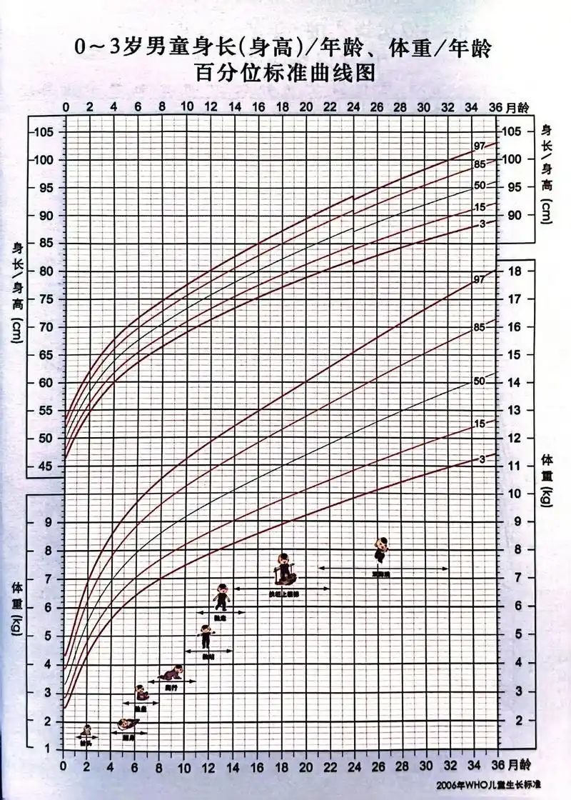 儿童生长标准曲线图👦👧.#大数据推荐给有需要的人 - 抖音