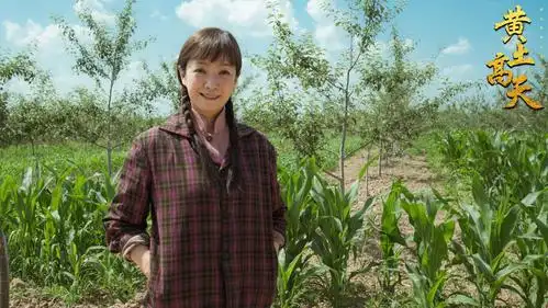 《黄土高天》展现农村改革之路 剧情曲折观众直喊"心疼主角"