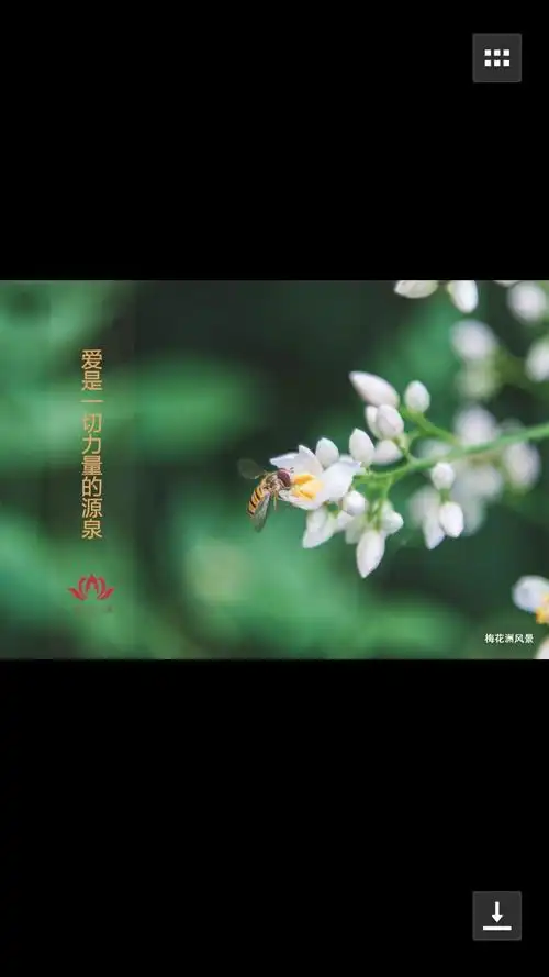 一切都会越来越好