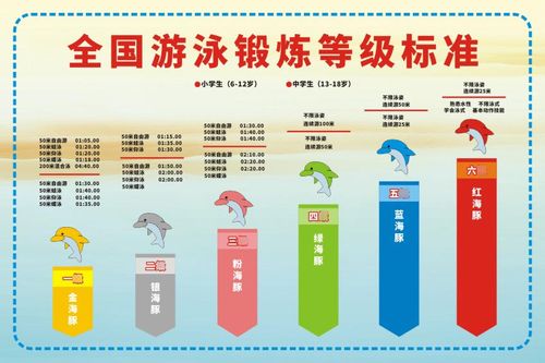 m769小中学生游泳锻炼等级标准分类2067写真海报定制印制展板沟通