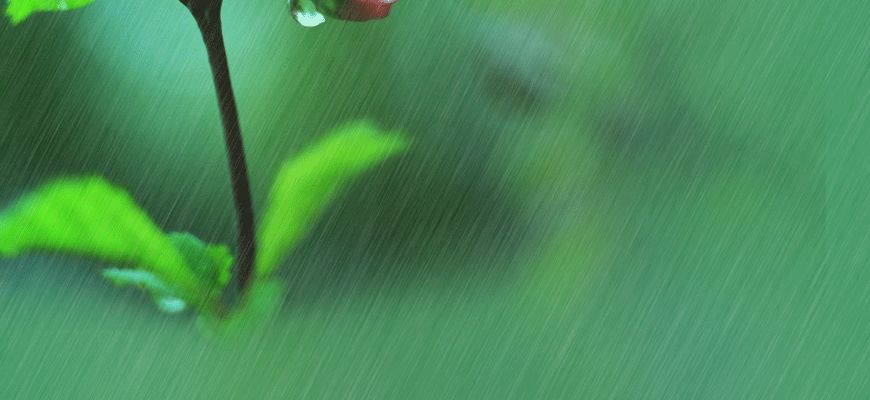 870_400gif 动态图 动图