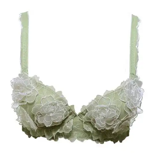 新款歌瑞尔水灵天使性感聚拢内衣立体花朵女士精品文胸_绿色,75b