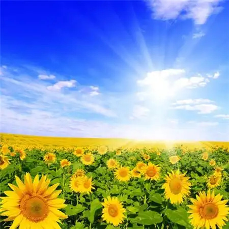 给人一种阳光的头像,高清唯美阳光干净的微信头像图片_励志头像_美头