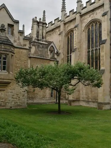 三一学院门口的牛顿苹果树