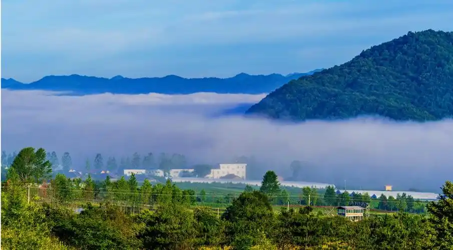 陕西宝鸡太白县鳌山脚下的塘口地区