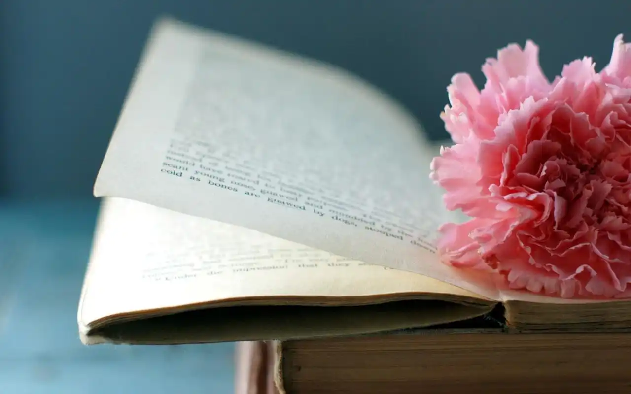 清新唯美的书本静物图片高清桌面壁纸