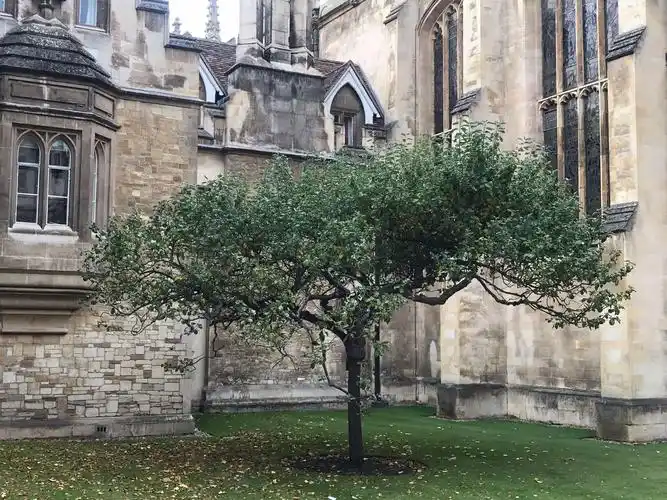 英国之行30号——剑桥大学