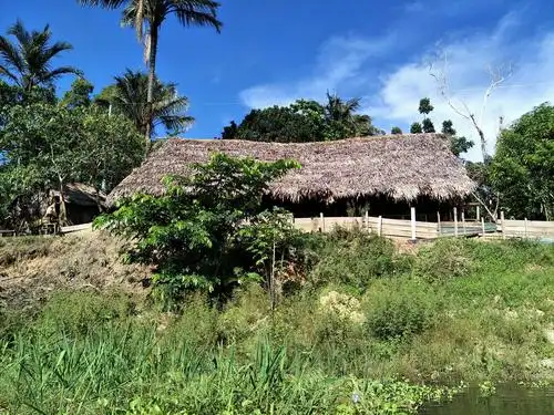 巴西 亚马逊河 热带雨林 原始部落