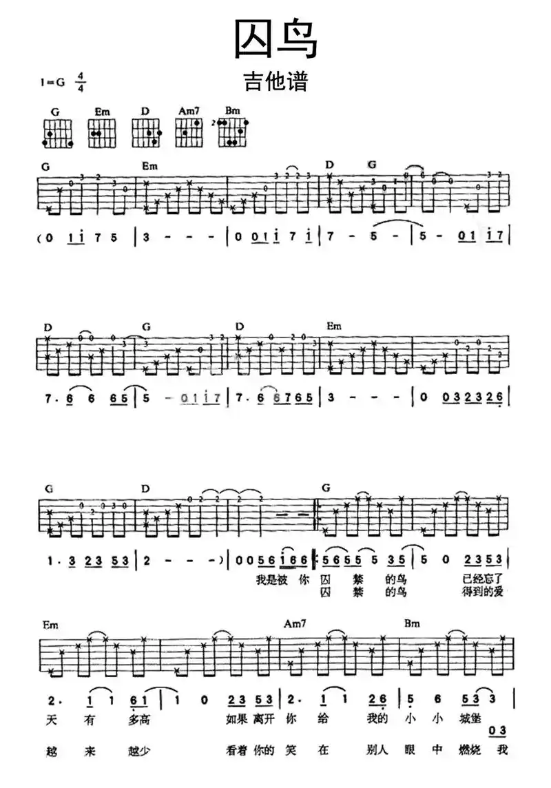 吉他谱囚鸟  - 抖音