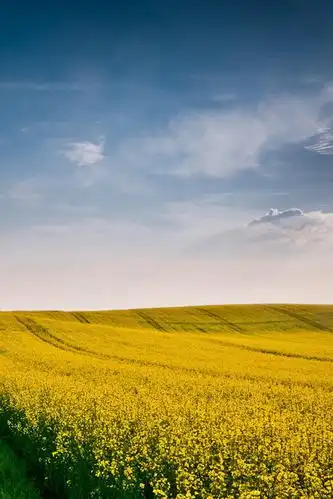 美丽的田园风景高清手机壁纸
