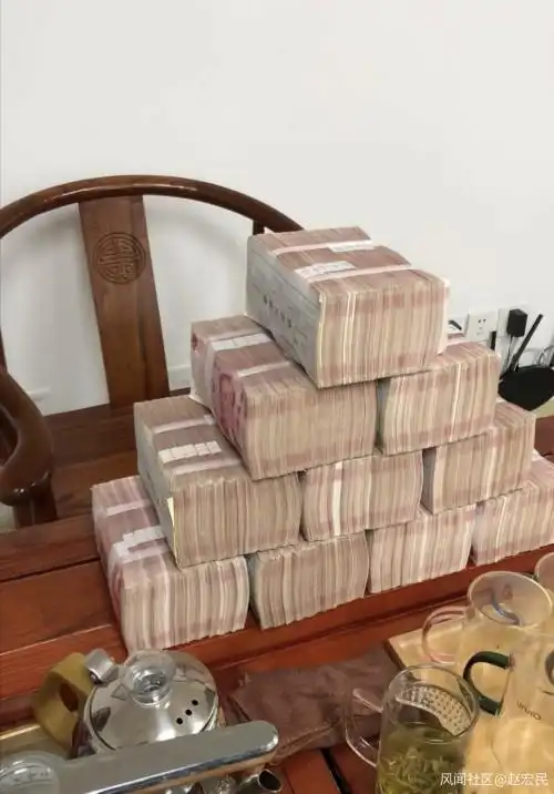 100万块钱才这么大一堆儿?