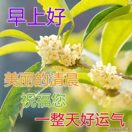 初春最漂亮早安问候语动态图片 早晨微信群发早上好动态表情图片_开心