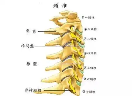 颈椎病复发了?你可能不知道,是因为这些.