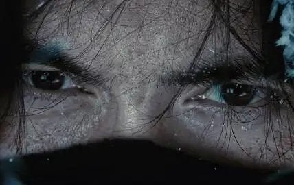 鹧鸪哨的眼神好帅哟