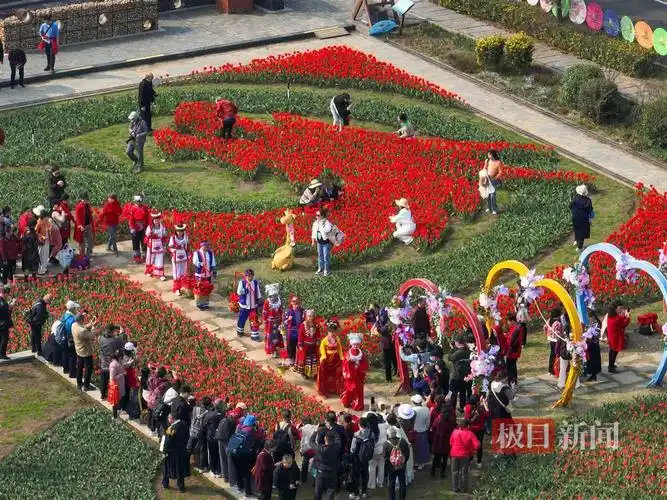 武汉东西湖郁金香主题公园开园100万株郁金香盛大迎客