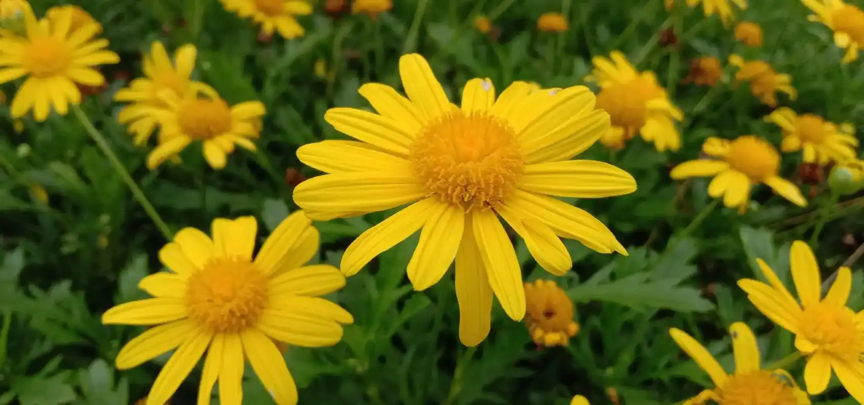 这个学摄影期间拍下来的照片请大家过目所有版权在我这里下载了不侵权