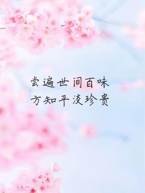 惊艳到你的句子  #好句摘抄分享  #朋友圈文案  #励志  #每日练字打卡