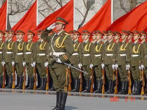 求问这是哪国军服?