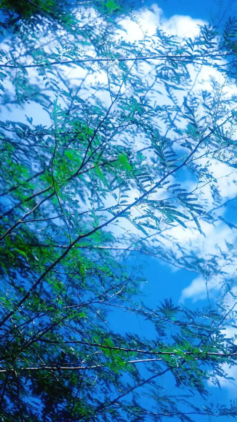 生活应该是阳光又充满希望的希望你的人生也如此