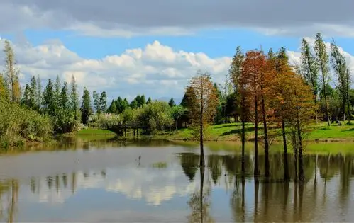 生态美景—小游昆明海东湿地公园