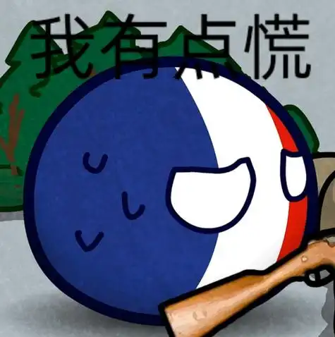 一点波兰球表情包,可以拿