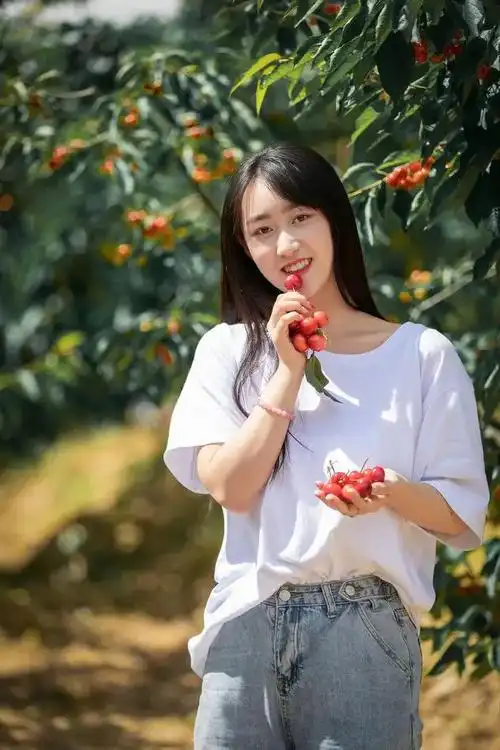 天之水网美女主播 亮相天水大樱桃采摘基地