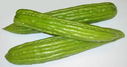 69 时尚伊人 69 【最快最有效减肥法】   每天用新鲜苦瓜(切成