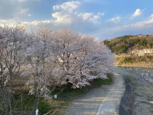 随手拍,记录自己拍摄的照片