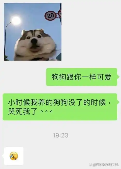 搭讪加了微信,但聊天只回表情,咋整啊?